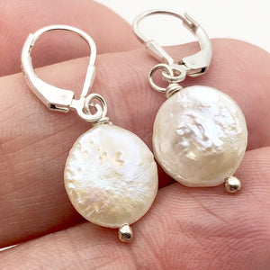 Stunning Creamy Coin Fresh Water Pearl Drop Earrings in Sterling Silver| 1 3/4"| - PremiumBead Alternate Image 4