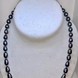 Silver-Grey Gorgeous Freshwater Pearl Sterling Necklace 20 inch 209805 - PremiumBead Primary Image 1