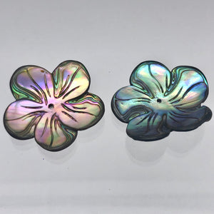 Abalone Flower/Plumeria Pendant Bead 8" Strand | 7 Beads | 28x27x3mm | 10609HS - PremiumBead Alternate Image 4