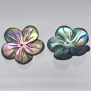 Shimmering Abalone Flower/Plumeria Pendant Beads | 2 Beads | 28x27x3mm | 10609 - PremiumBead Alternate Image 2