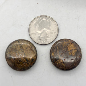 Shimmering Bronzite Coin Pendant Beads | 25x7mm | Bronze | Coin | 2 Beads | - PremiumBead Primary Image 1