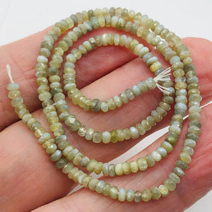 Alexandrite Cats Eye Faceted Rondell Bead Strand | 3 mm | Green | 200 Beads |