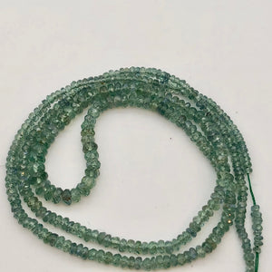 30 Carats Natural Untreated Cat's Eye Alexandrite Rondelle Bead Strand 110795 - PremiumBead Alternate Image 2