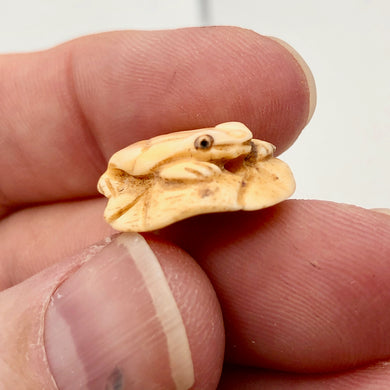 Poised Hand Carved Frog on Lily Pad Bone Bead | 1 Bead | 19x8mm | 7550 - PremiumBead Primary Image 1