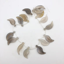 Load image into Gallery viewer, Carved Translucent Grey Agate Leaf Briolette Bead 16&quot; Strand | 16 Beads | 109418 - PremiumBead Primary Image 1
