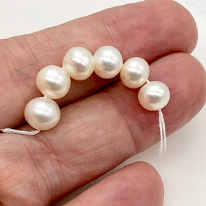 6 Premium Perfect Skin Natural White 8mm Pearls 10059