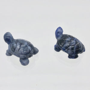 Adorable 2 Sodalite Carved Turtle Beads - PremiumBead Alternate Image 7