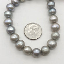 Load image into Gallery viewer, Silvery Moonlight Romance Fresh Water Pearls | 11x8-7.5x7mm | 4 Pearls | - PremiumBead Alternate Image 9
