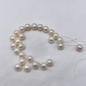 2 Pearls 8mm to 9mm Natural Creamy Satin 2639