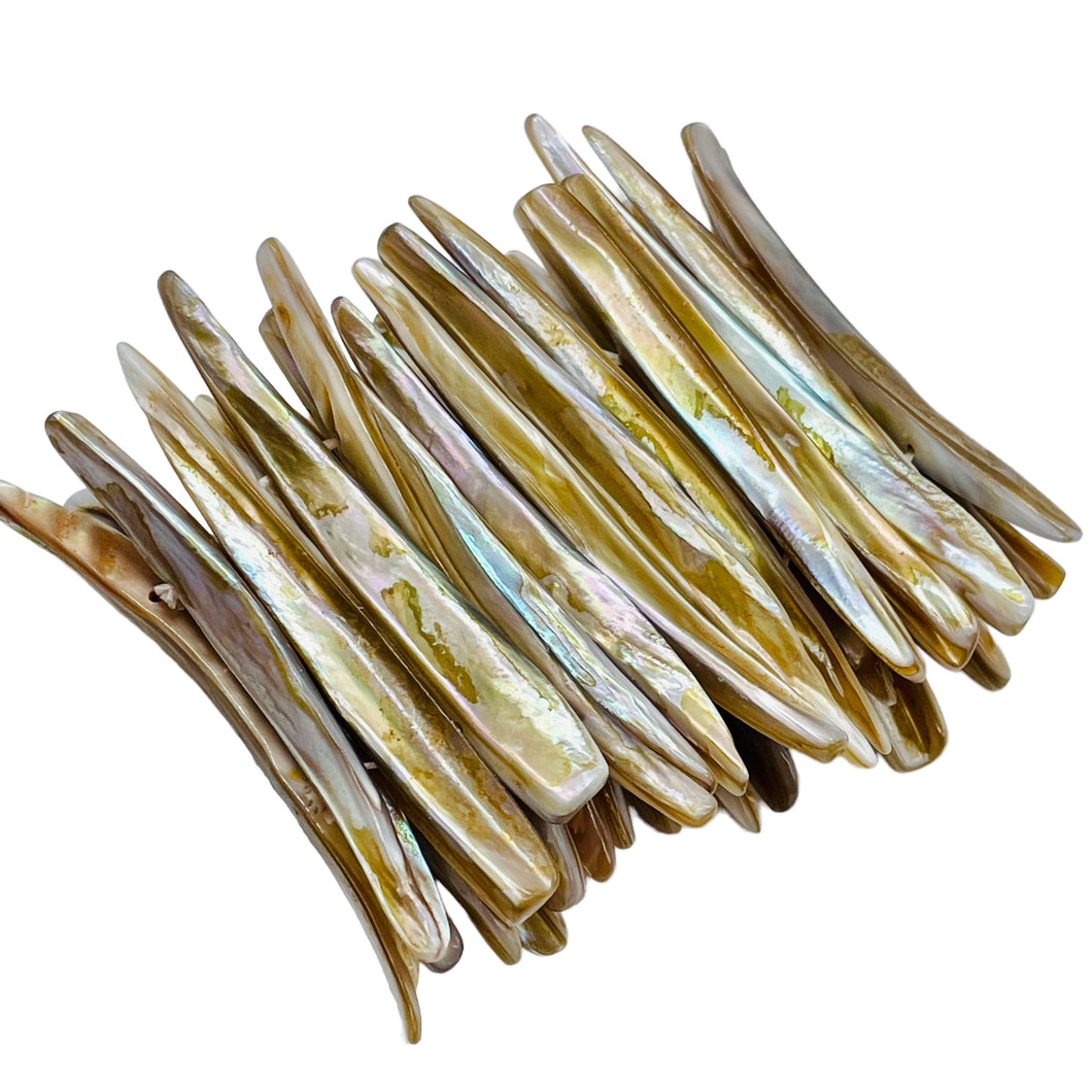 Bronze Mussel Shell Double Drill Plank Bracelet | 7 to 8 Inch