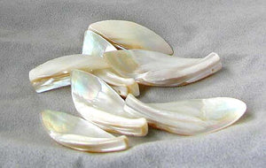 Exotic White Ebony Shell Pendant Bead 005069A - PremiumBead Alternate Image 3