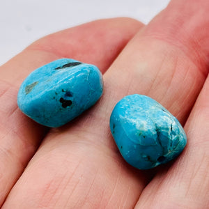 Stunning Natural Turquoise Focal Beads | 17x14x9 -14x12x8mm | 2 Beads |