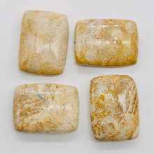 Load image into Gallery viewer, Coral Fossilized Rectangular Parcel | 20x15x6 mm | Brown/White | 4 Beads |
