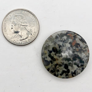 Exotic Tiger Jasper Disc Pendant Semi Precious Stone 13 Bead Strand| 30x5mm | - PremiumBead Alternate Image 11