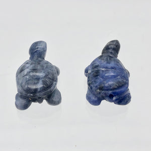 Adorable Sodalite Carved Turtle Figurine/Worry Stone | 20x12.5x8mm | Blue White - PremiumBead Alternate Image 8