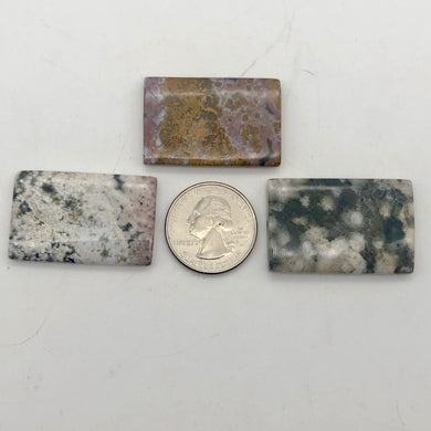 Ocean Jasper 36x24x4mm Amazing Rectangular 3 Beads - PremiumBead Primary Image 1