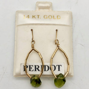 Natural Green Peridot Briolette &14k Earrings 200867 - PremiumBead Alternate Image 6