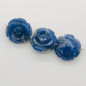 Charm 3 Hand Carved Blue Sodalite Rose Beads 10180P