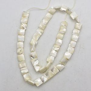 Perfection Mother of Pearl 8x8x3mm Bead Strand - PremiumBead Alternate Image 2