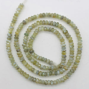 Alexandrite Cats Eye Faceted Half Strand Rondell Beads | 3 mm | Green | 100 Beads |