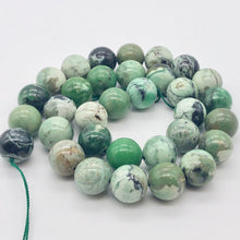 Load image into Gallery viewer, Very Rare Spiderweb Green Turquoise 12mm Bead Strand 107535 - PremiumBead Primary Image 1
