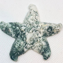 Load image into Gallery viewer, Tree Agate Carved Starfish Pendant Bead | 61x57x11mm | White with Forst Green - PremiumBead Primary Image 1
