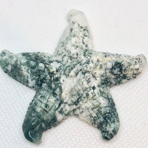 Tree Agate Carved Starfish Pendant Bead | 61x57x11mm | White with Forst Green - PremiumBead Primary Image 1