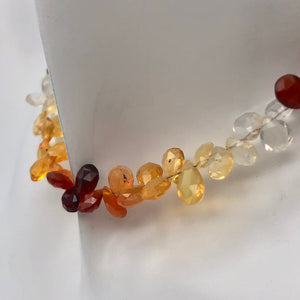 26.75cts Untreated Mexican Fire Opal 7" Briolette Bead Strand | 6-8mm | 10230B - PremiumBead Alternate Image 8