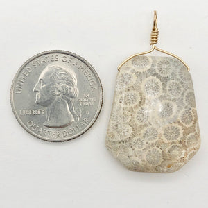 Fossilized Coral Sterling Silver Wire Wrap Pendant Pre-Cambrian Era | 2 5/8" |