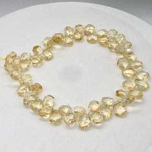 Citrine Faceted Briolette Bead Strand | 12x11 to 16x11x7mm | Golden | 86g |
