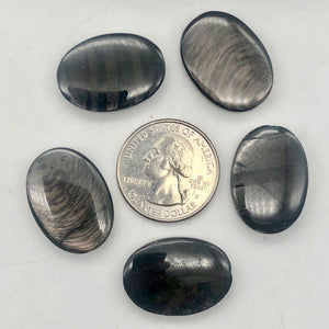 Hypersthene 14k Pendant |1 3/4 inch long | Silver-black | Oval | 14k Pendant