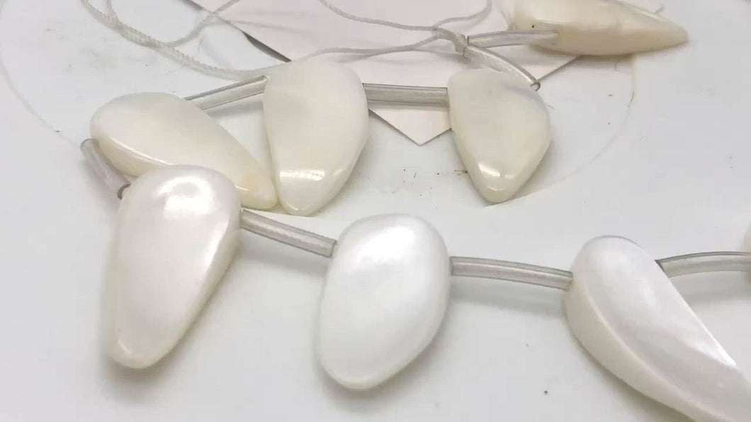 Mother of Pearl Pendant Strand |28x12x5-35x16x4.5mm | White | Pendant | 16bds| | 28x12x5-35x16x4.5mm | White |  Bead(s)