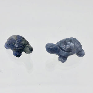 Adorable Sodalite Carved Turtle Figurine/Worry Stone | 20x12.5x8mm | Blue White - PremiumBead Alternate Image 7