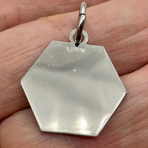 Medical Alert Sterling Silver Hexagon Pendant | 1 1/4" Long | Red Silver | 1 |