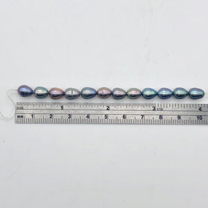 12 Lavender, Blue, Pink Peacock Satin FW Pearls, 10x6.5 to 8x6mm - PremiumBead Alternate Image 3