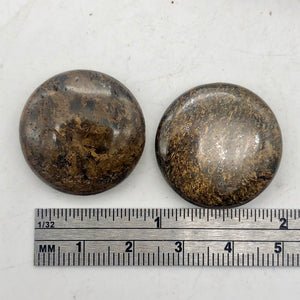 Shimmering Bronzite Coin Pendant Beads | 25x7mm | Bronze | Coin | 2 Beads | - PremiumBead Alternate Image 6