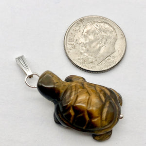Adorable Tigereye Carved Turtle Sterling Silver Pendant | 1.25" (Long) | - PremiumBead Alternate Image 4