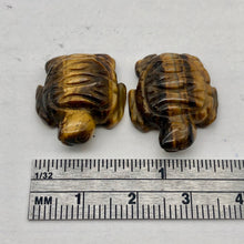 Load image into Gallery viewer, Majestic 2 Carved Tigereye Sea Turtle Beads | 20x17x7mm | Bronze - PremiumBead Alternate Image 7
