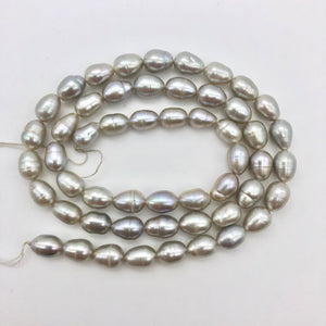Silvery Platinum Freshwater Pearl Strand | 8x6-6.5x5mm | ~55 pearls | 110864 - PremiumBead Alternate Image 2