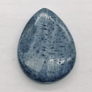Coral Fossilized Teardrop | 40x30x8 mm | Blue | 2 Pendant Beads |