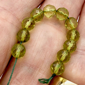 Amber Faceted Round Bead Strand | 6mm | Green | 68 Bead(s)