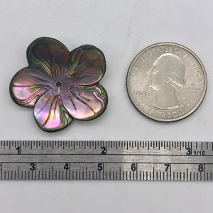 Abalone Flower/Plumeria Pendant Bead 16" Strand | 14 Beads | 28x27x3mm | 110609 - PremiumBead Alternate Image 7