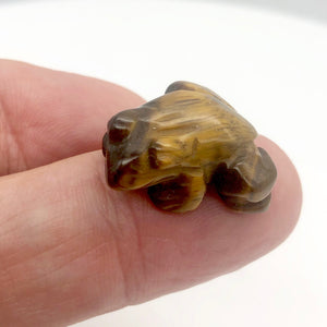 Prosperity 2 Hand Carved Tigereye Frog Beads | 22x17x10mm | Brown Gold - PremiumBead Alternate Image 8