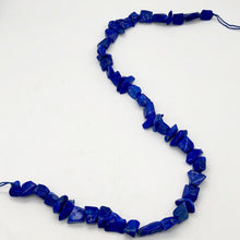 Load image into Gallery viewer, Intense! Natural Gem Quality Lapis Lazuli Bead Strand!| 46 beads | 11x10x6mm | - PremiumBead Alternate Image 2
