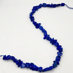 Intense! Natural Gem Quality Lapis Lazuli Bead Strand!| 46 beads | 11x10x6mm | - PremiumBead Alternate Image 2
