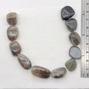 Grey Moonstone Bead Strand | 23x13x8mm to 18x11x9mm | Grey | 19 to 24 Strand