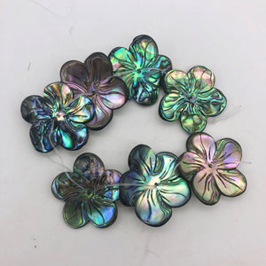 Abalone Flower/Plumeria Pendant Bead 8" Strand | 7 Beads | 28x27x3mm | 10609HS - PremiumBead Primary Image 1