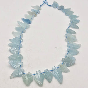 Natural Aquamarine Leaf Strand | 17x12x3 to 22x12x5mm | Blue | Leaf | 33 beads | - PremiumBead Alternate Image 2