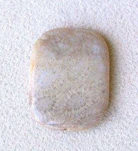 Rare 1 Fossilized Coral Rectangle Pendant Bead 6617B - PremiumBead Primary Image 1