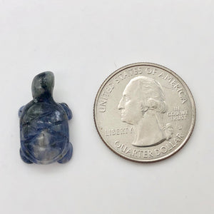 Adorable Sodalite Carved Turtle Figurine/Worry Stone | 20x12.5x8mm | Blue White - PremiumBead Alternate Image 3